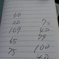 金沢八景鴨下丸 釣果