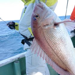 だて丸 釣果