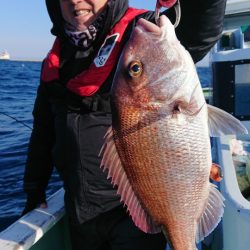 だて丸 釣果