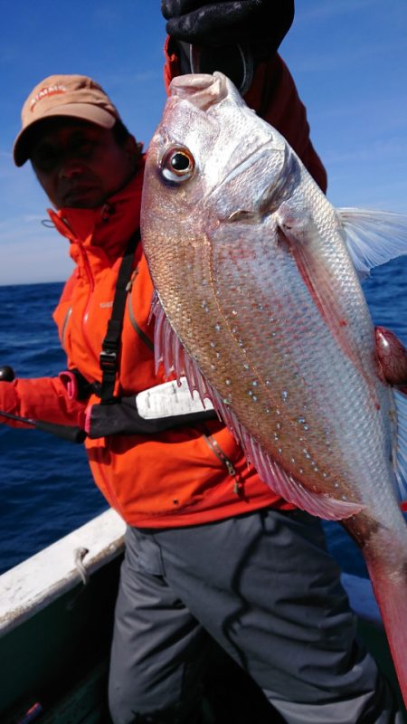 だて丸 釣果