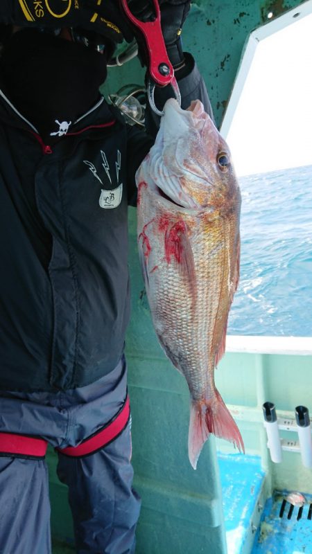だて丸 釣果