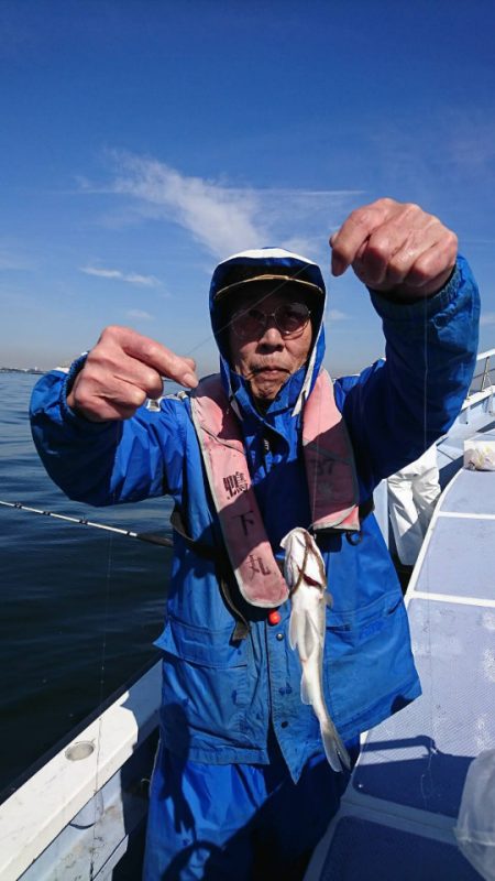 金沢八景鴨下丸 釣果