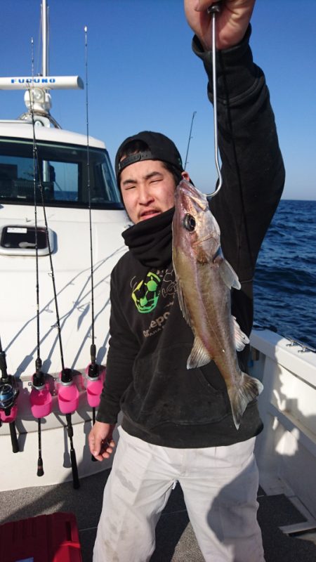 ARCADIAⅡ (アルカディアⅡ) 釣果