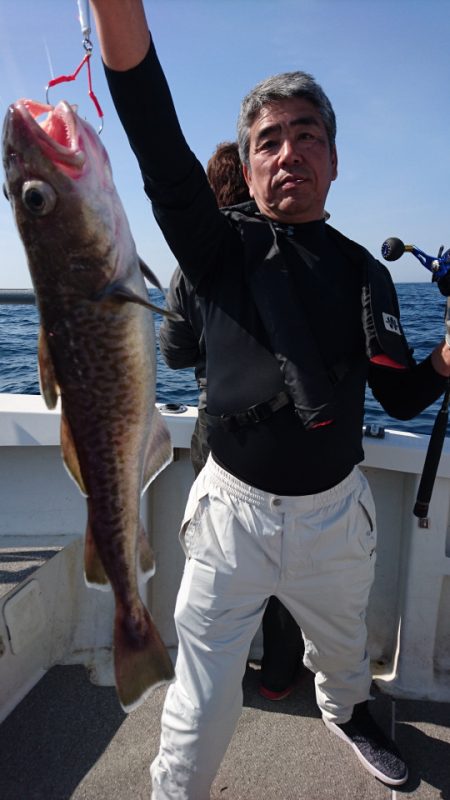 ARCADIAⅡ (アルカディアⅡ) 釣果