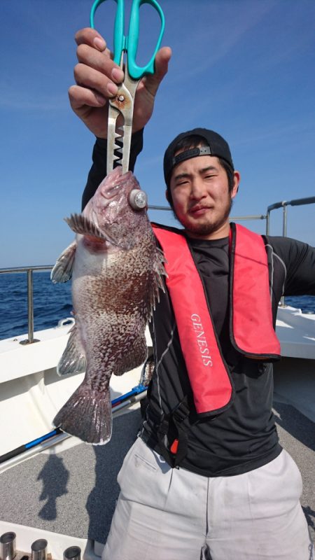 ARCADIAⅡ (アルカディアⅡ) 釣果