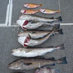 ARCADIAⅡ (アルカディアⅡ) 釣果