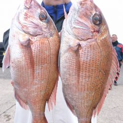 第三共栄丸 釣果