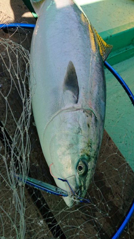 和栄丸 釣果