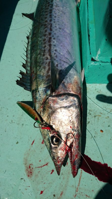 和栄丸 釣果