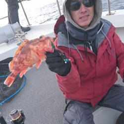 ARCADIAⅡ (アルカディアⅡ) 釣果