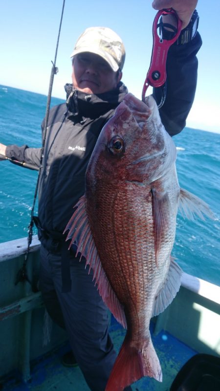 だて丸 釣果