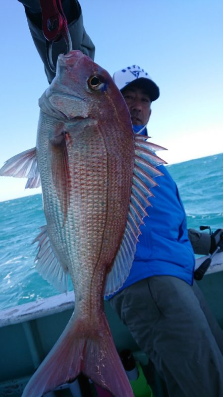 だて丸 釣果