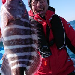 だて丸 釣果