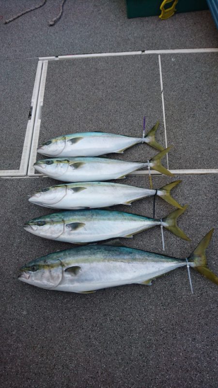 ARCADIAⅡ (アルカディアⅡ) 釣果