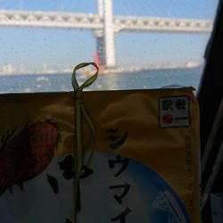 金沢八景鴨下丸 釣果