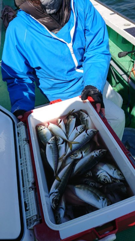 金沢八景鴨下丸 釣果