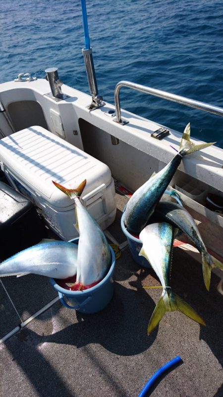 ARCADIAⅡ (アルカディアⅡ) 釣果