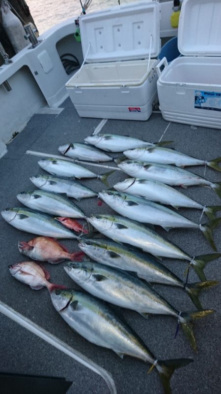 ARCADIAⅡ (アルカディアⅡ) 釣果