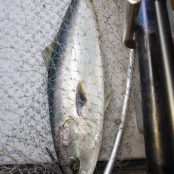 第二龍勢丸 釣果