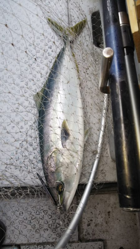 第二龍勢丸 釣果