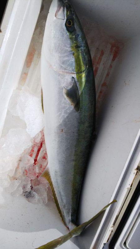 第二龍勢丸 釣果