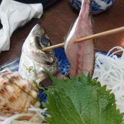 金沢八景鴨下丸 釣果