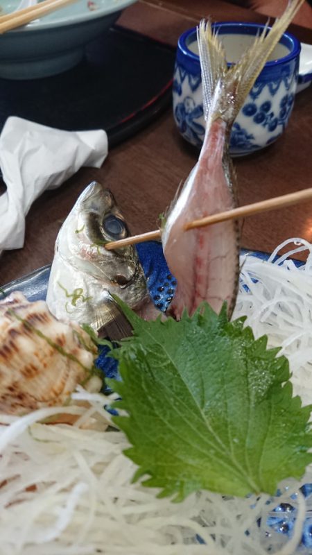 金沢八景鴨下丸 釣果