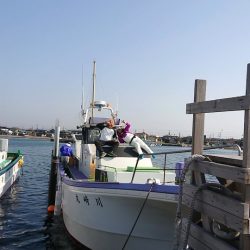 金沢八景鴨下丸 釣果