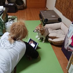 金沢八景鴨下丸 釣果