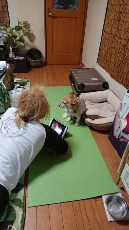 金沢八景鴨下丸 釣果