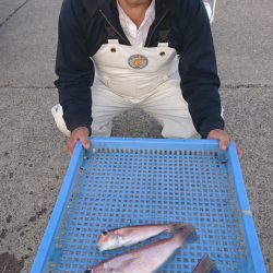 第三共栄丸 釣果