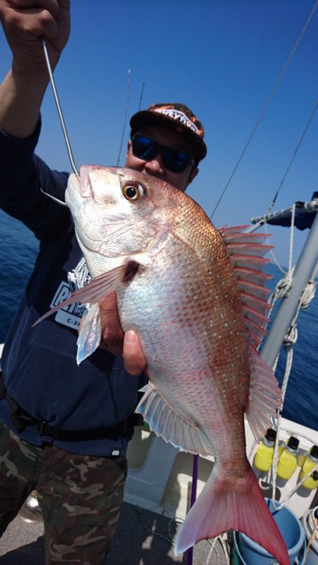 ARCADIAⅡ (アルカディアⅡ) 釣果