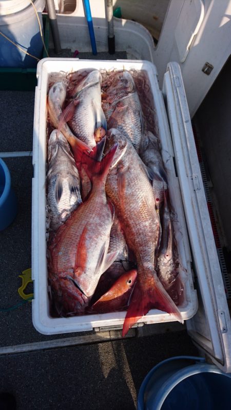 ARCADIAⅡ (アルカディアⅡ) 釣果