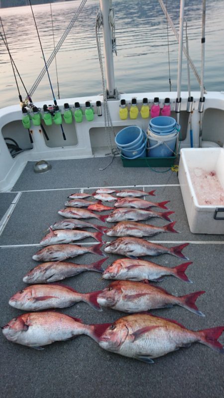 ARCADIAⅡ (アルカディアⅡ) 釣果