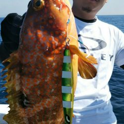 光生丸 釣果
