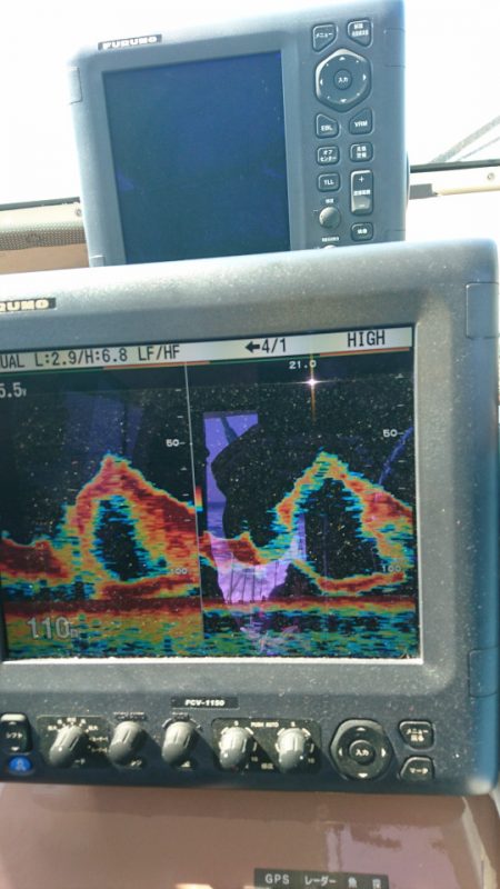 ARCADIAⅡ (アルカディアⅡ) 釣果