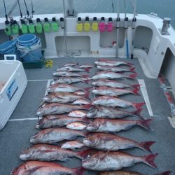 ARCADIAⅡ (アルカディアⅡ) 釣果