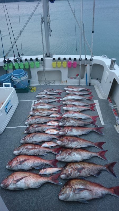 ARCADIAⅡ (アルカディアⅡ) 釣果