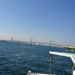 金沢八景鴨下丸 釣果