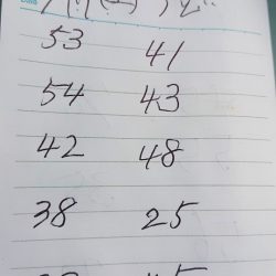 金沢八景鴨下丸 釣果