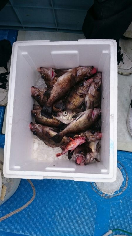 海龍丸（石川） 釣果