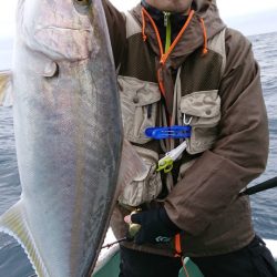 だて丸 釣果