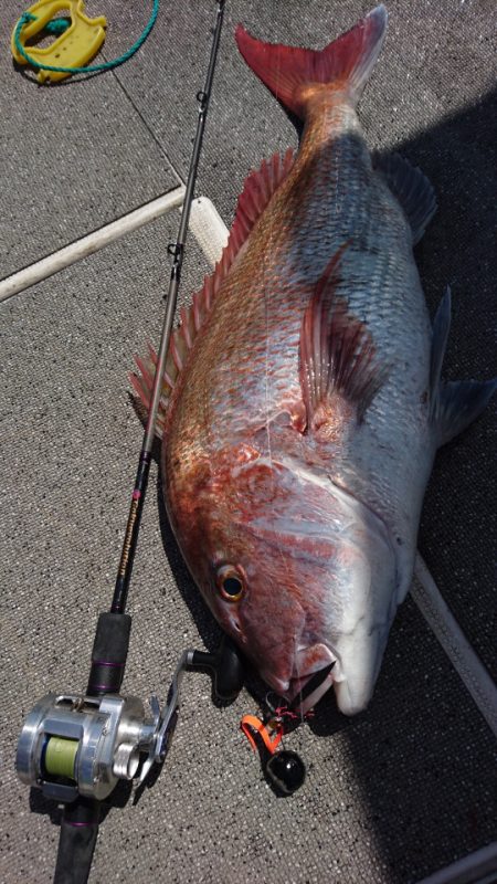 ARCADIAⅡ (アルカディアⅡ) 釣果