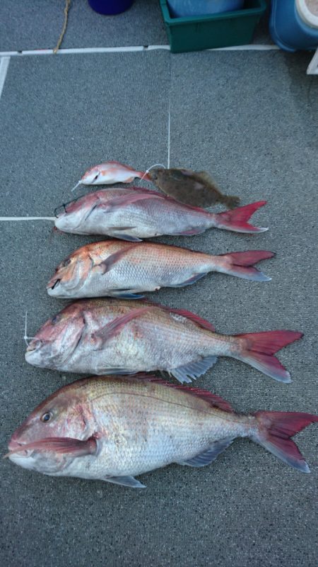 ARCADIAⅡ （アルカディアⅡ） 釣果…