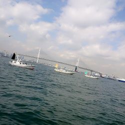 金沢八景鴨下丸 釣果