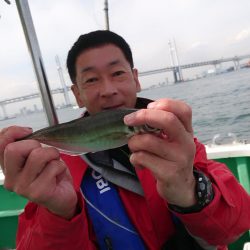 金沢八景鴨下丸 釣果