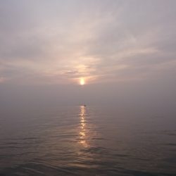 遊漁船 家入 釣果