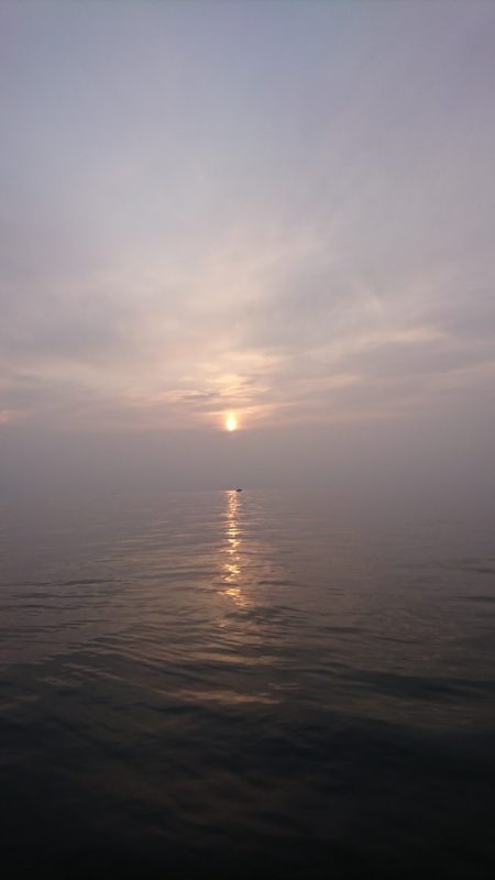 遊漁船 家入 釣果