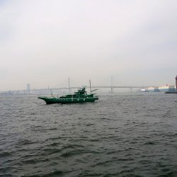 金沢八景鴨下丸 釣果