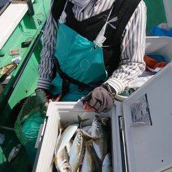 金沢八景鴨下丸 釣果